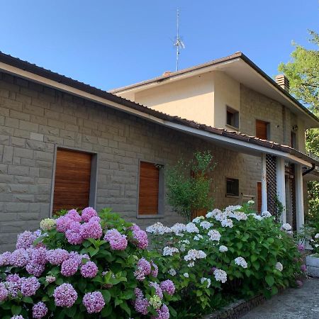 Peaceful Country Living At Apartments At Villa Clara Vimignano-Chiesa Exterior photo